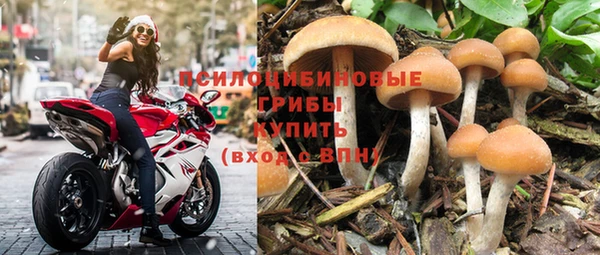 дмт Балахна