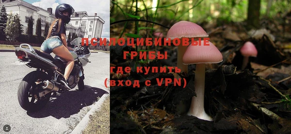дмт Балахна