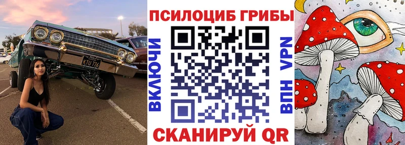 Галлюциногенные грибы Psilocybine cubensis  Купить  Сысерть 